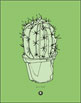 Cacti